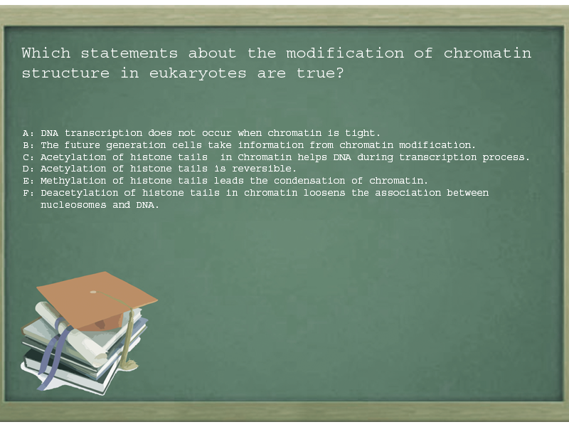 Which statements about the modification of chromatin structure in eukaryotes are true?