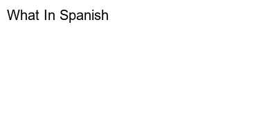Understanding What in Spanish: The Basics
